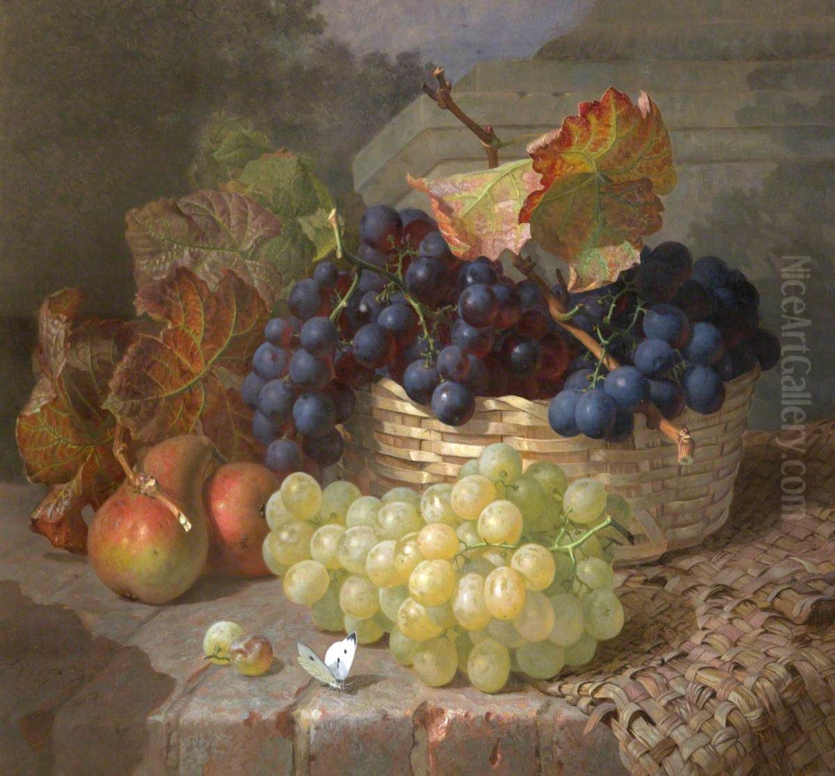 Still Life of White and Red Grapes in a Basket, with Two Pears and a Cabbage White Oil Painting by Eloise Harriet Stannard