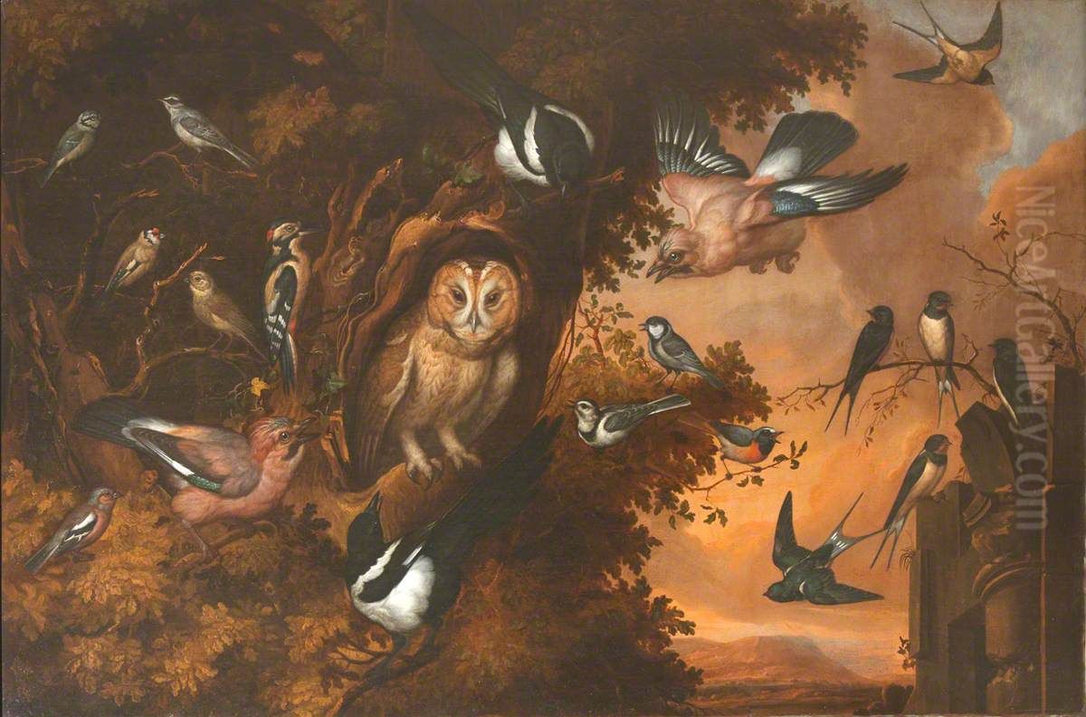 An Owl being Mobbed by other Birds Oil Painting by Francis Barlow