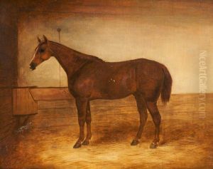 Chestnut Hunter in a Stable