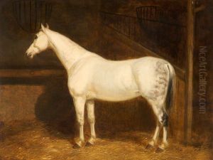 Grey Hunter in a Stable