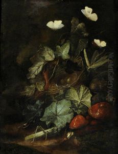 Forest Floor Still Life