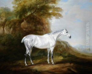 A Grey Hunter