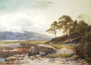 Mawddach March