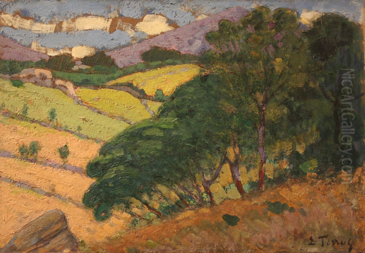 Landscape around Collioure Oil Painting by Etienne Terrus