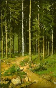 Road in the Forest