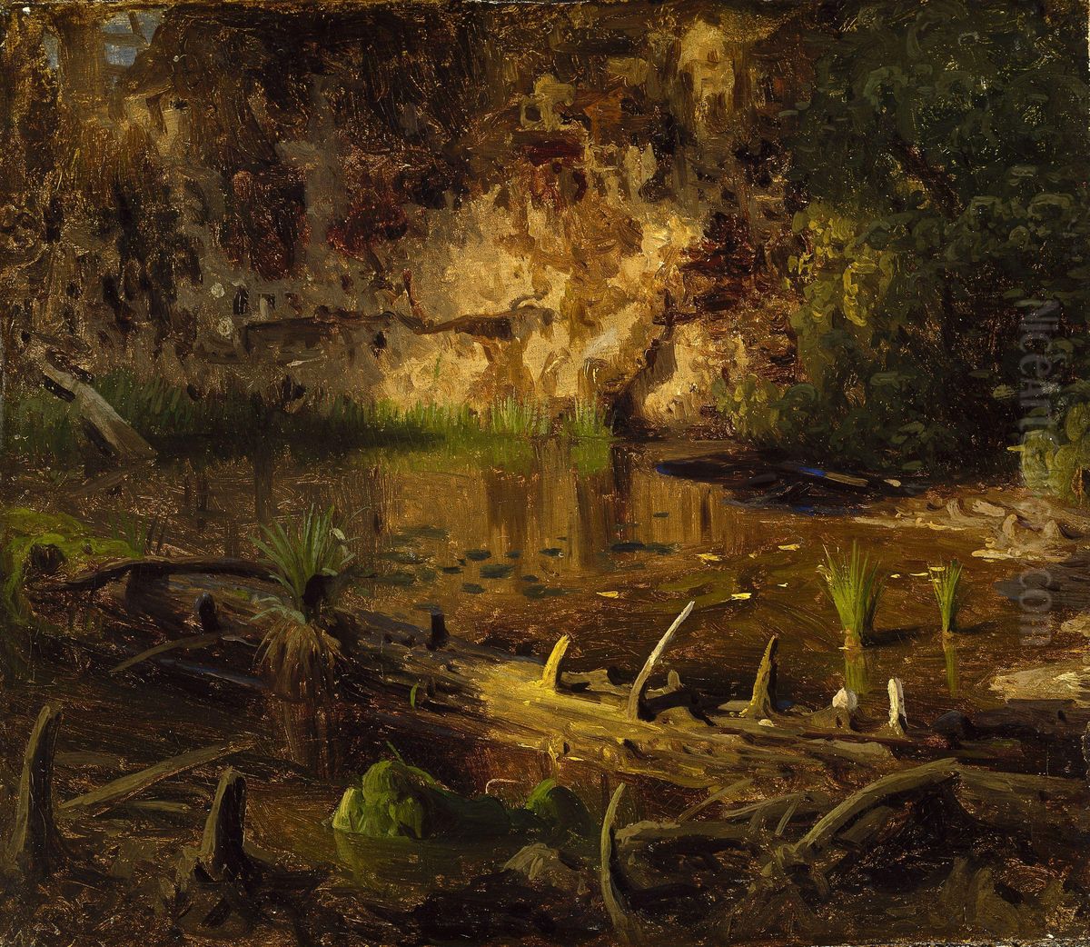 Study of a fallen Tree Oil Painting by August Cappelen