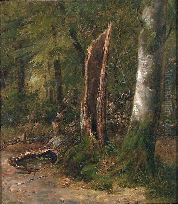 Study of Trees Oil Painting by Johan Gorbitz