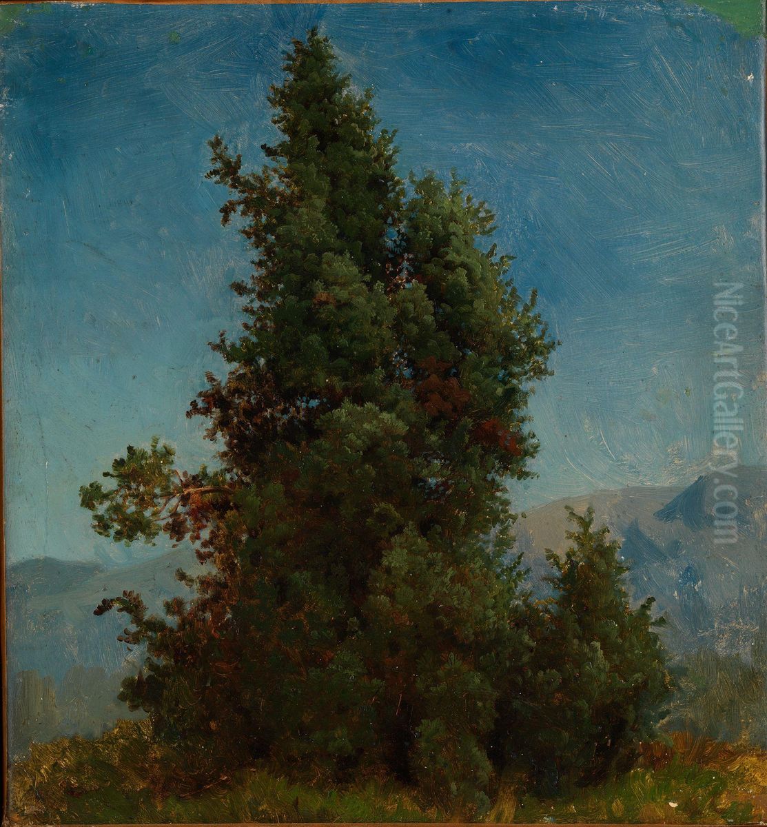 Study of Trees Oil Painting by August Cappelen