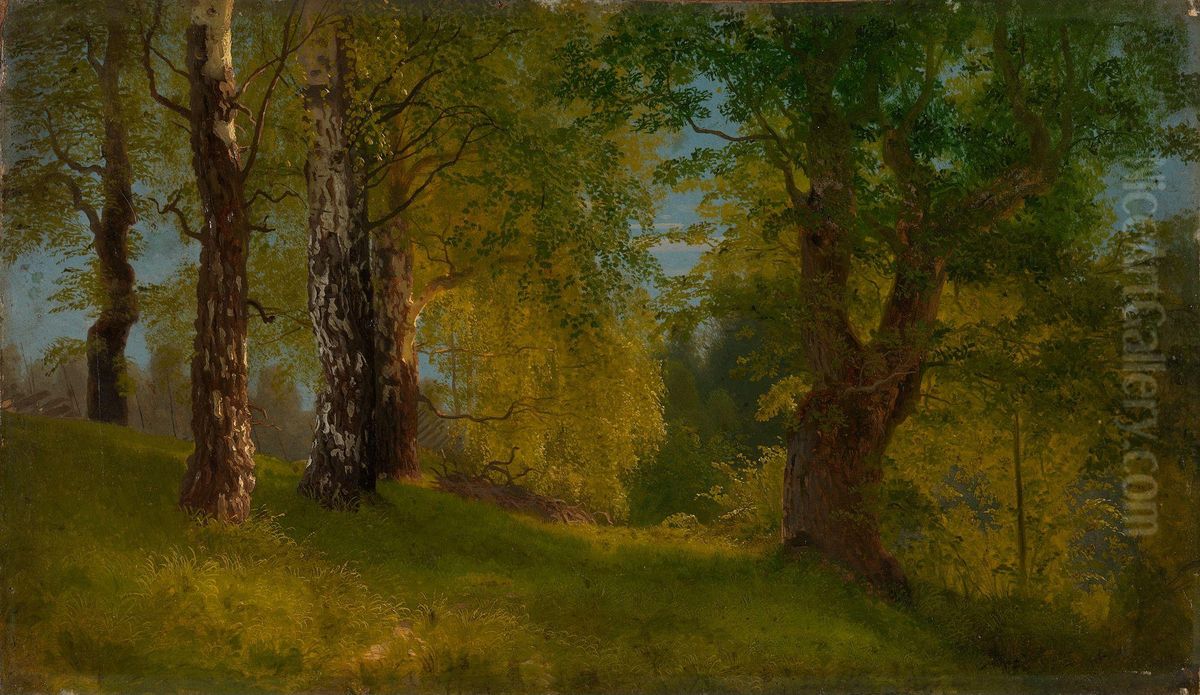 Study of a Wood Oil Painting by August Cappelen