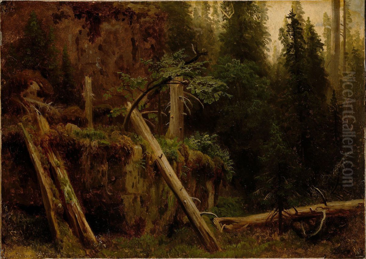 Landscape Study with decaying Trees Oil Painting by August Cappelen