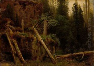 Landscape Study with decaying Trees