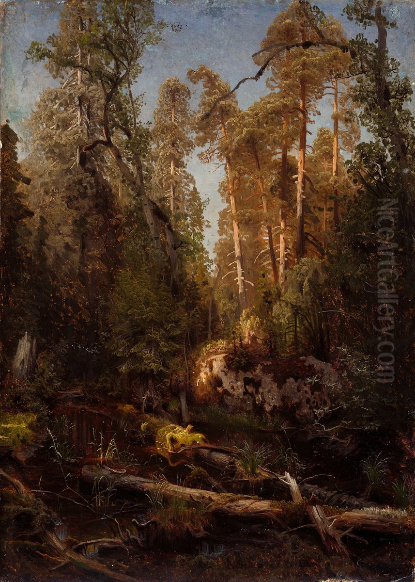 Forest Study Oil Painting by August Cappelen