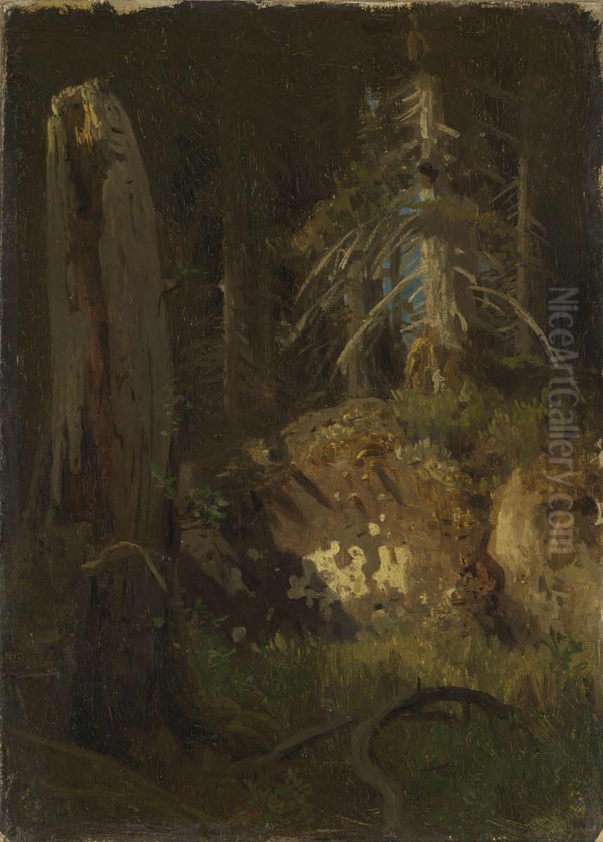 Skogstudie Oil Painting by August Cappelen