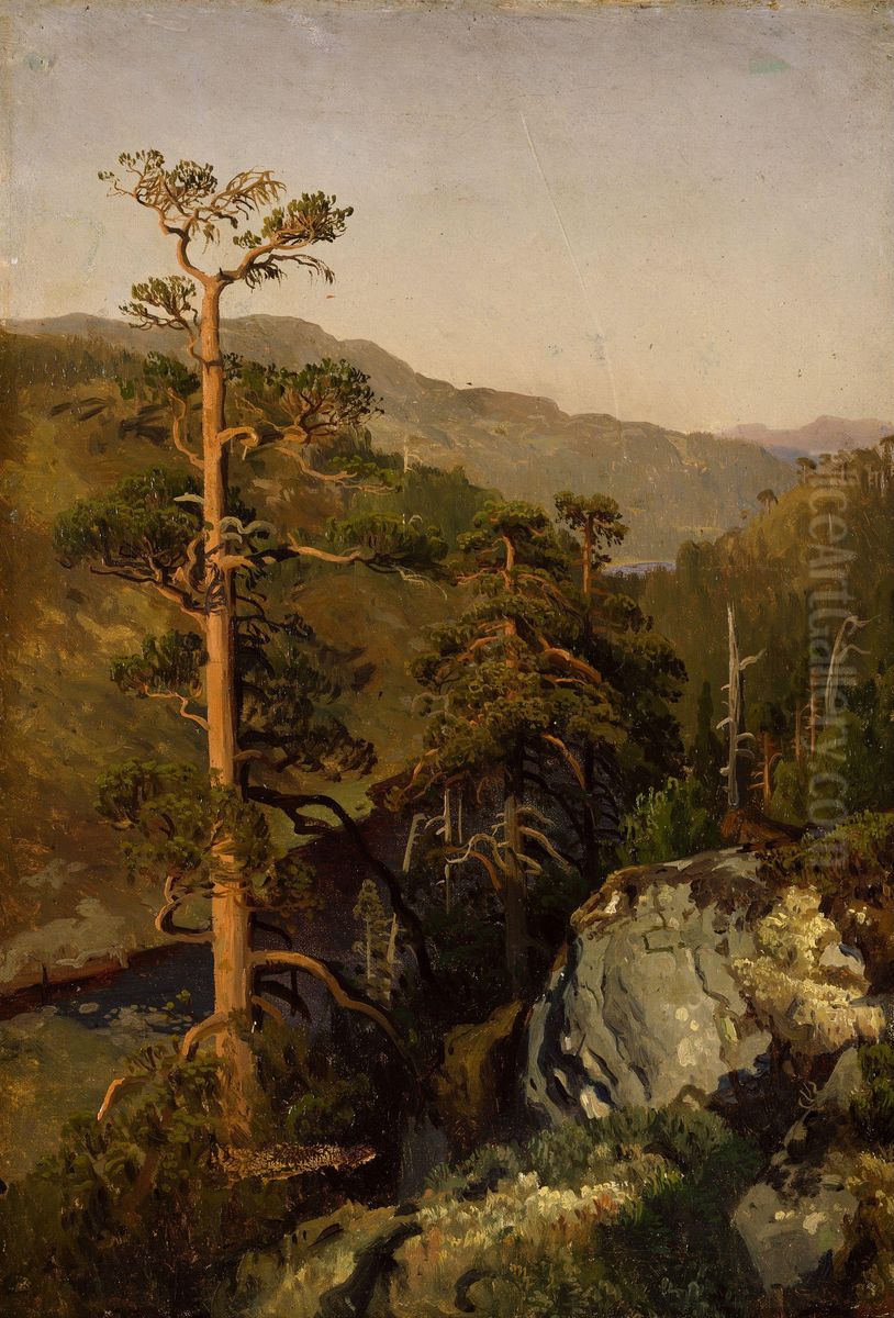 Skogstudie Oil Painting by August Cappelen