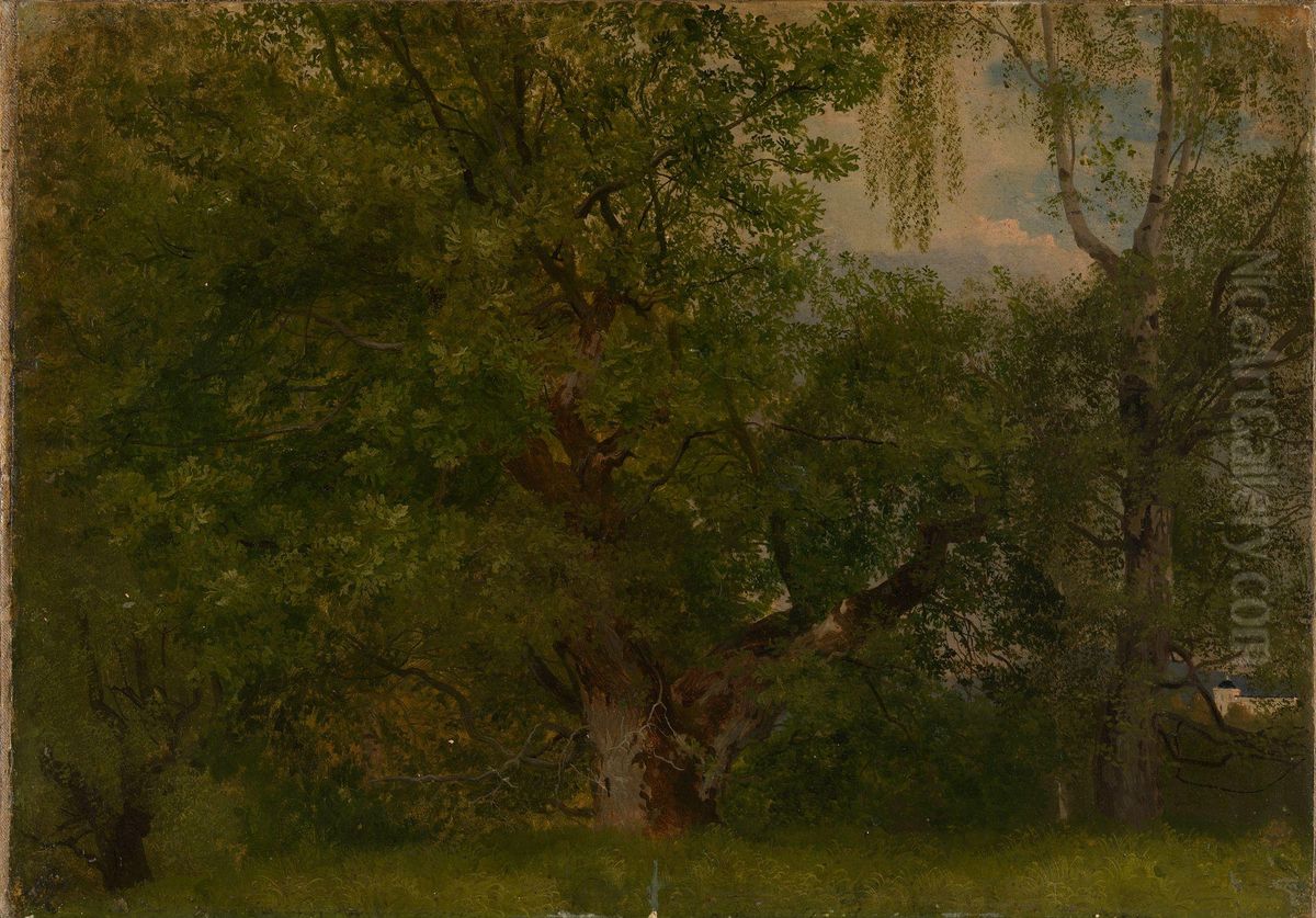 Skog ved Ulefoss Oil Painting by August Cappelen