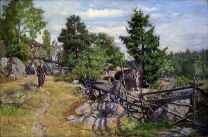 Sommerlandskap