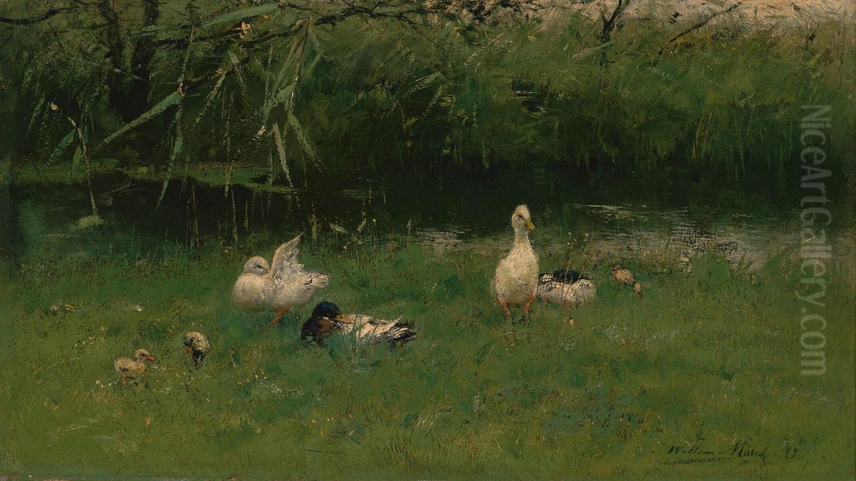 Eenden in het gras aan een sloot Oil Painting by Willem Maris