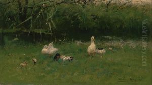 Eenden in het gras aan een sloot