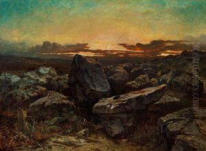 Rocks near 'Les Gorges d'Apremont'