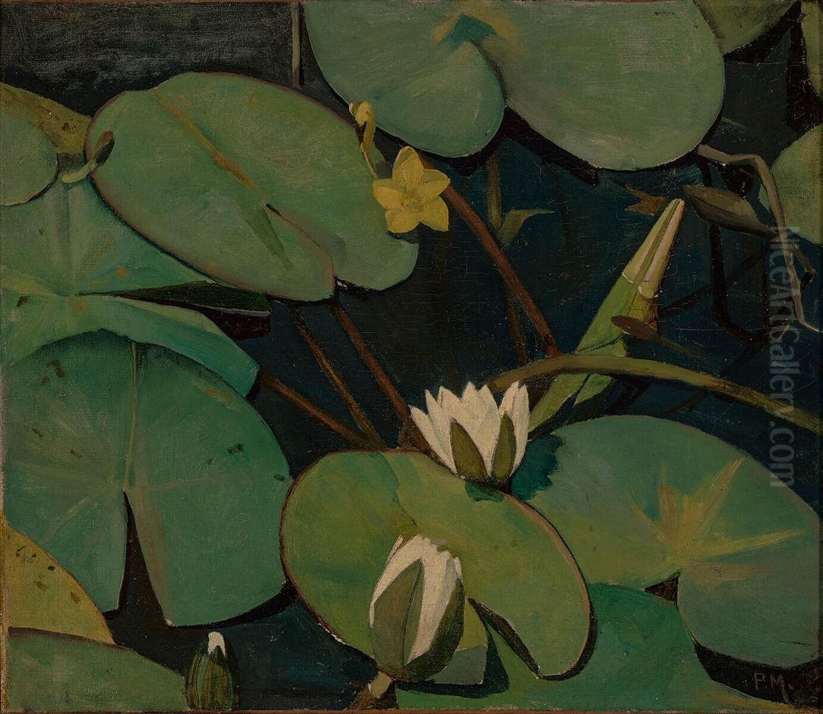 Water Lilies Oil Painting by Piet Meiners