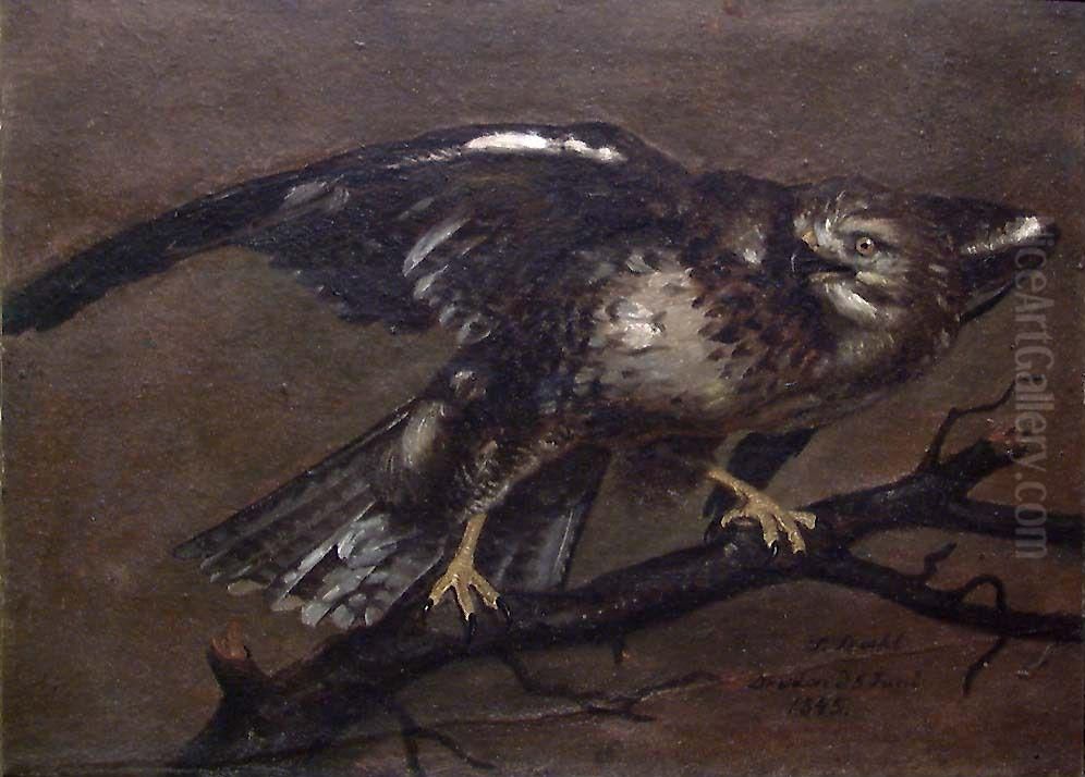 A Vulture Oil Painting by Johann Siegwald Dahl