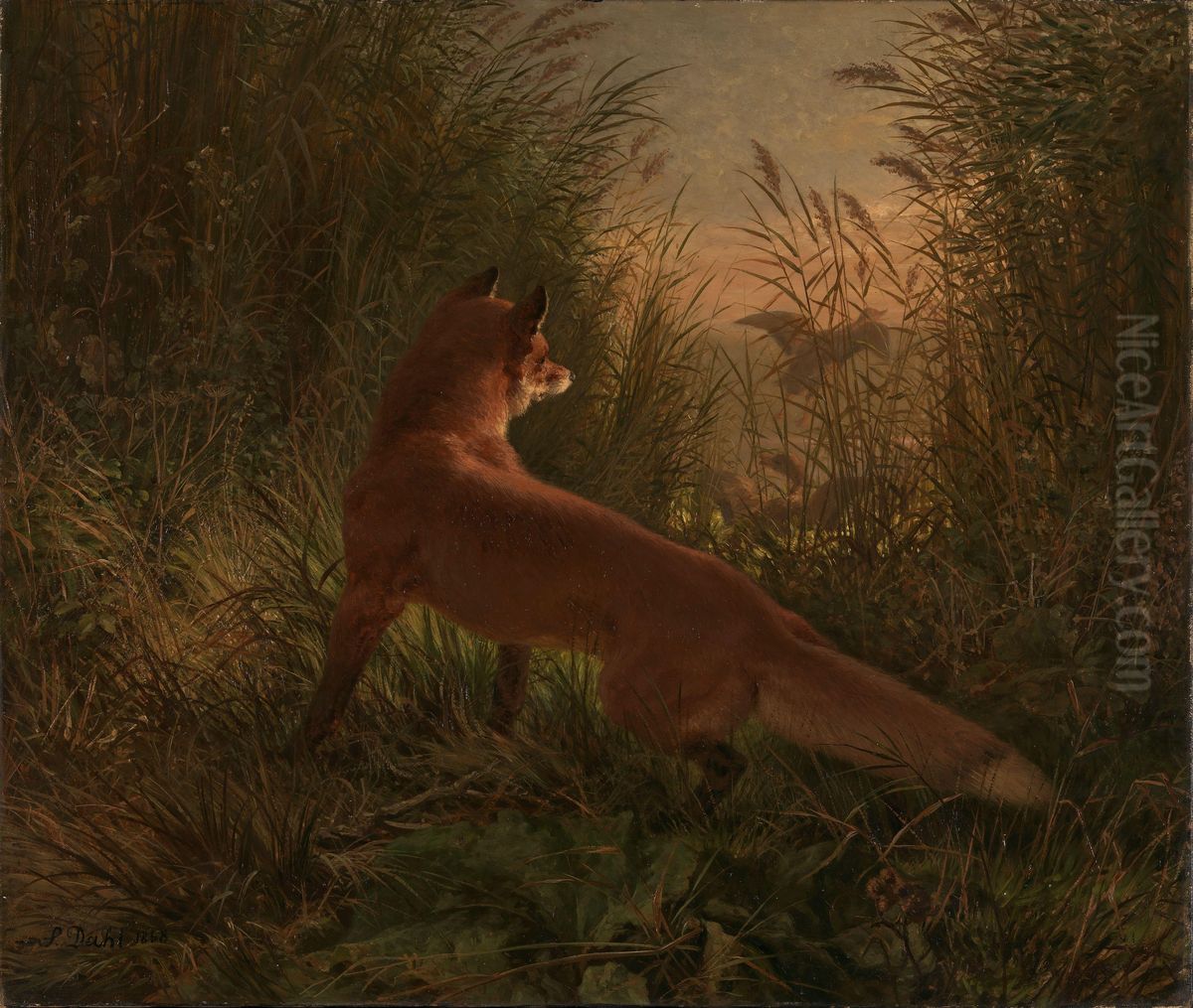 A Fox Oil Painting by Johann Siegwald Dahl