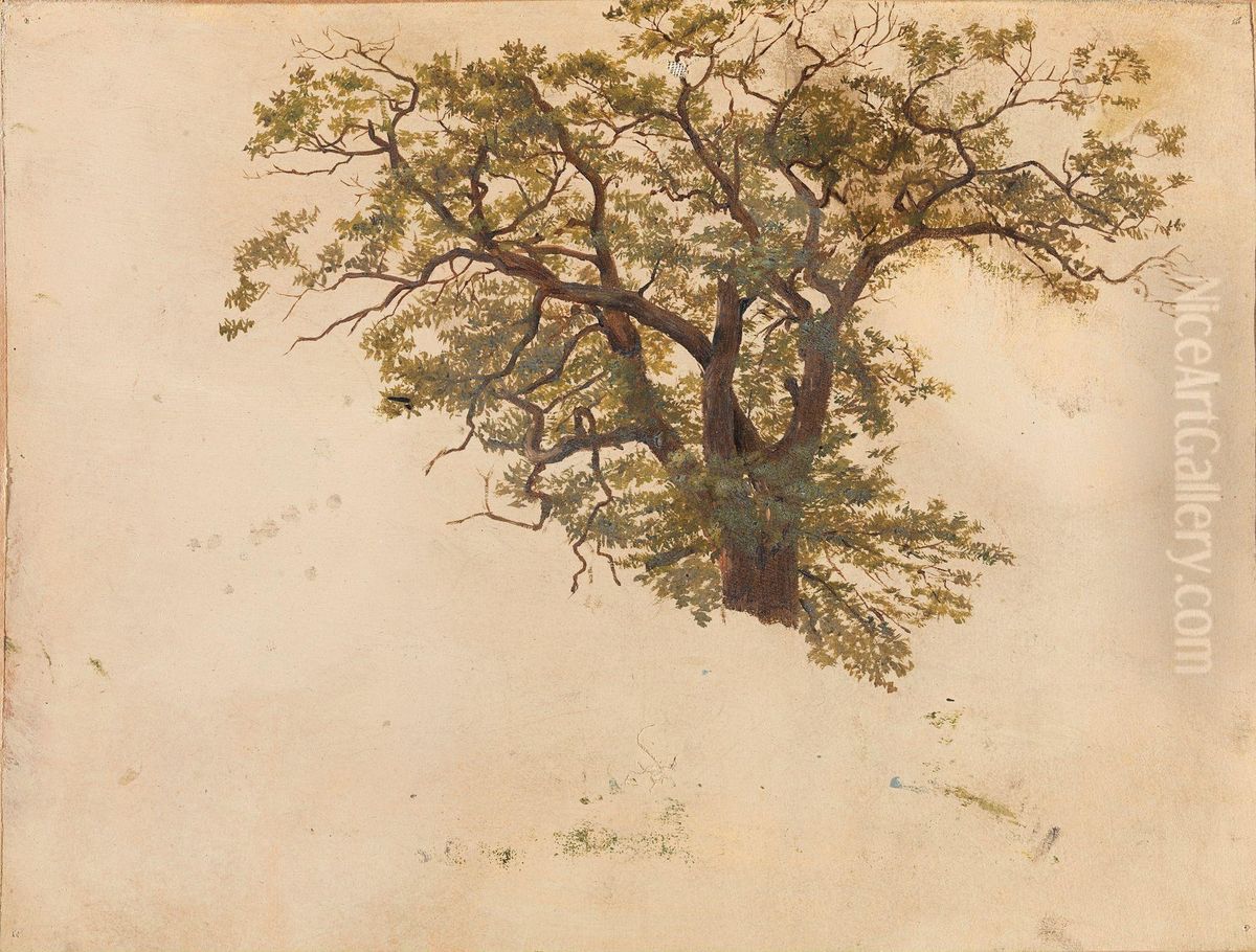 Study of an Oak Oil Painting by Adolph Tidemand