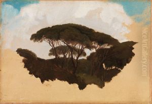 Study of Stone Pines Study of Stone Pines
