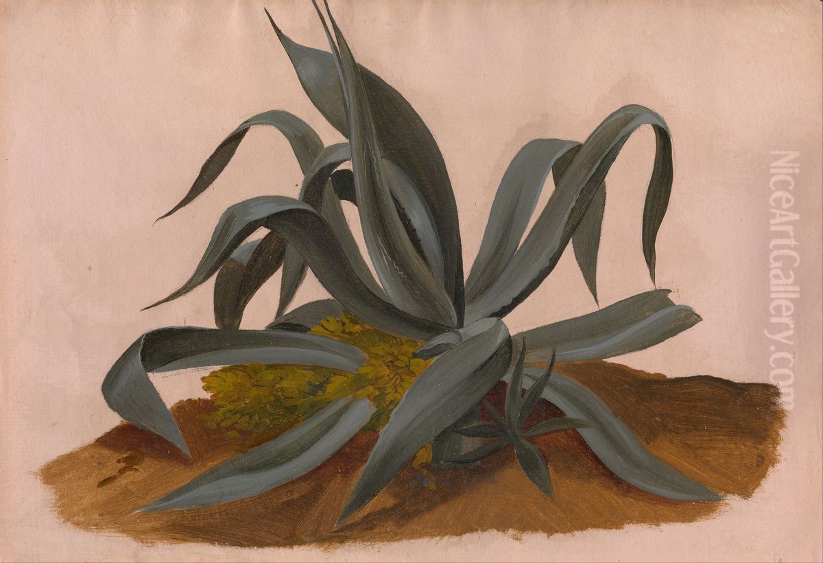 Study of an Agave Oil Painting by Johan Wilhelm Ludwig Dahl
