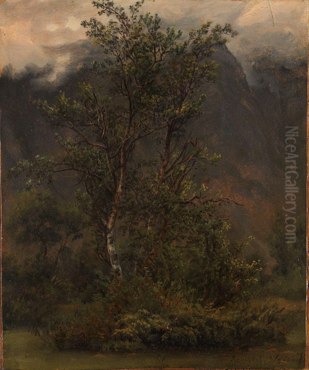 Study of Birches in Romsdal Oil Painting by Thomas Fearnley