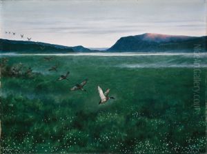 The twelve Wild Ducks