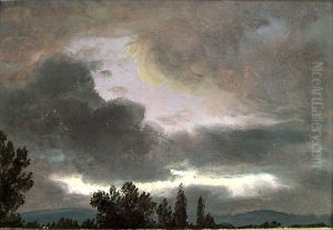 Storm Clouds over Tree Tops