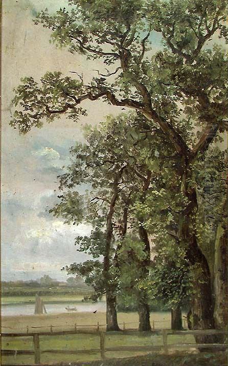 Oak Trees by the Elbe Oil Painting by Johan Wilhelm Ludwig Dahl