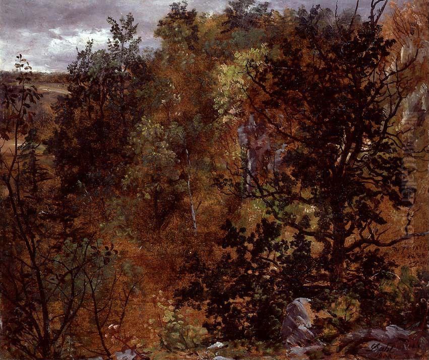 Autumn Woods near Maxen Oil Painting by Johan Wilhelm Ludwig Dahl