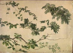 Study of Twigs and Leaves