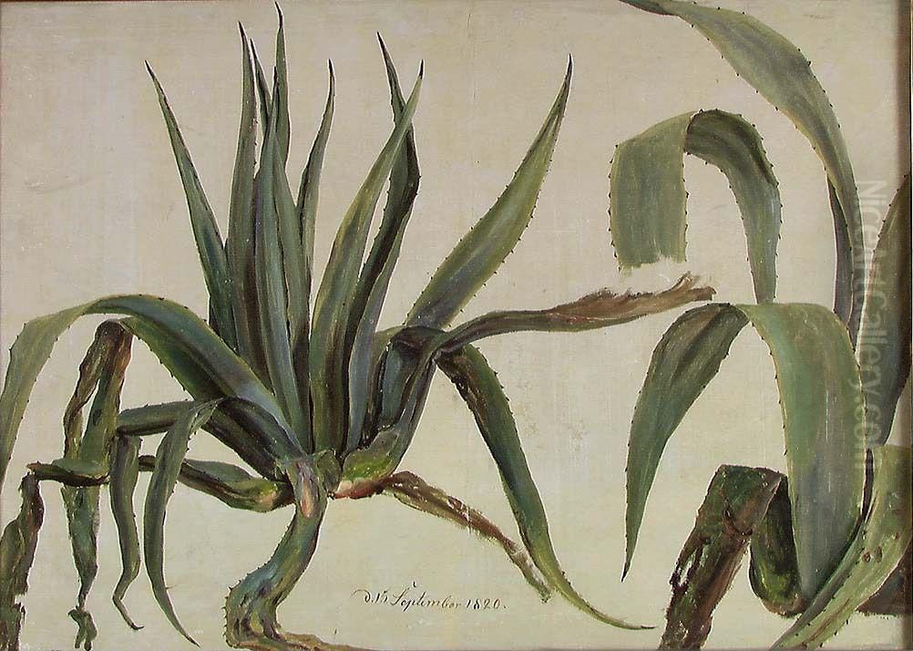 Study of two Agaves Oil Painting by Johan Wilhelm Ludwig Dahl