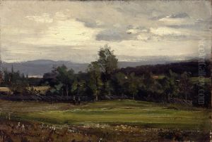 Fields at Hedmark in Summer