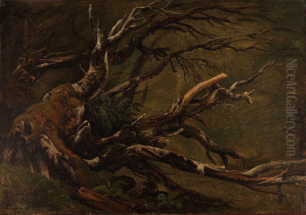Studie av dodt tre Oil Painting by Thomas Fearnley