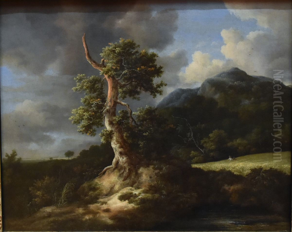 Fjellandskap med gammelt eiketre ved en kornaker Oil Painting by Jacob Van Ruisdael