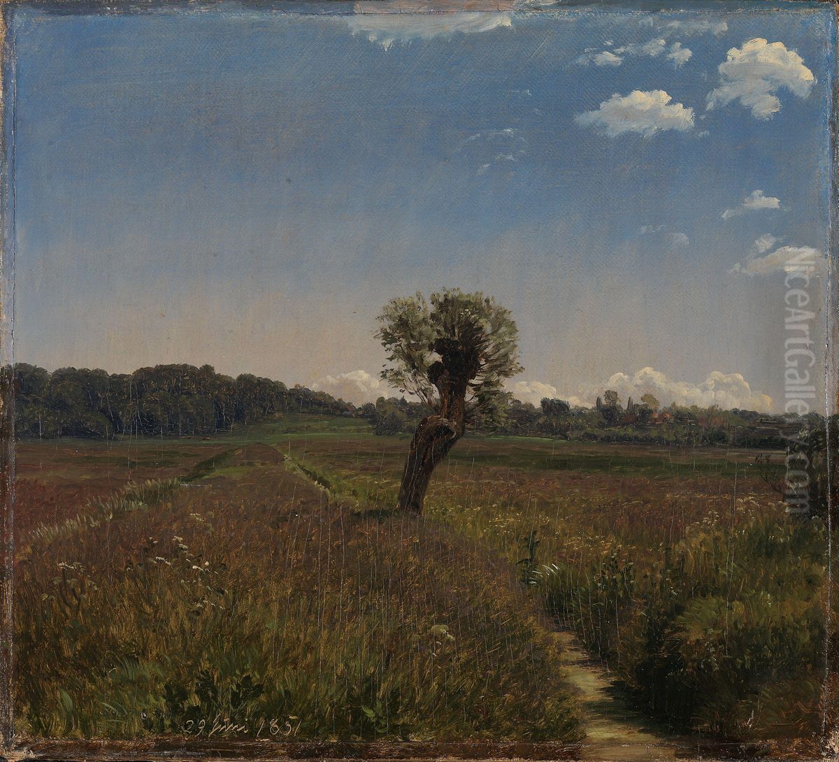 Meadow with a Solitary Willow Oil Painting by P. C. Skovgaard