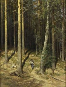 A pine forest