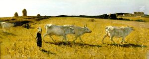 Pastures in Castiglioncello