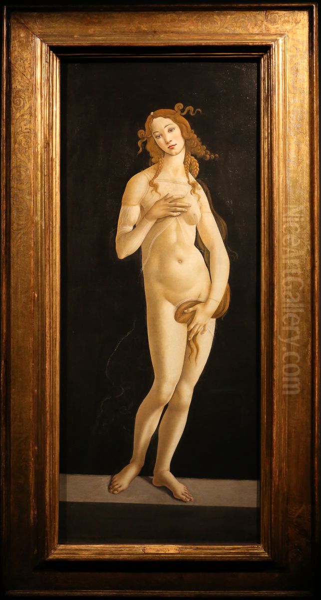 Venus Oil Painting by Sandro Botticelli