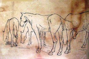 Cavalos