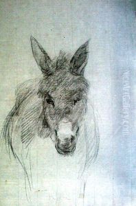 Cavalo de Frente