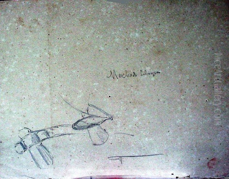 Machado Selvagem Oil Painting by unknown