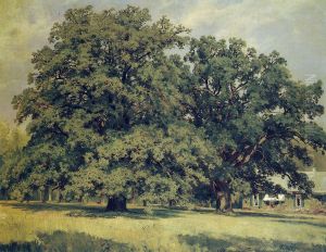Mordvinovskie duby