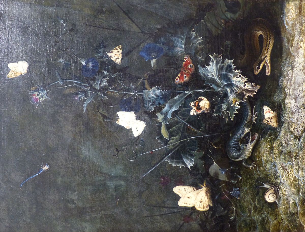 Sous-bois avec papillons autour d'un chardon Oil Painting by Otto Marseus van Schrieck