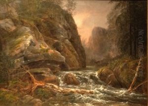 River in the Plauenscher Grund