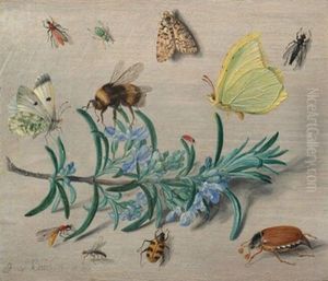 Insects and a Sprig of Rosemary
